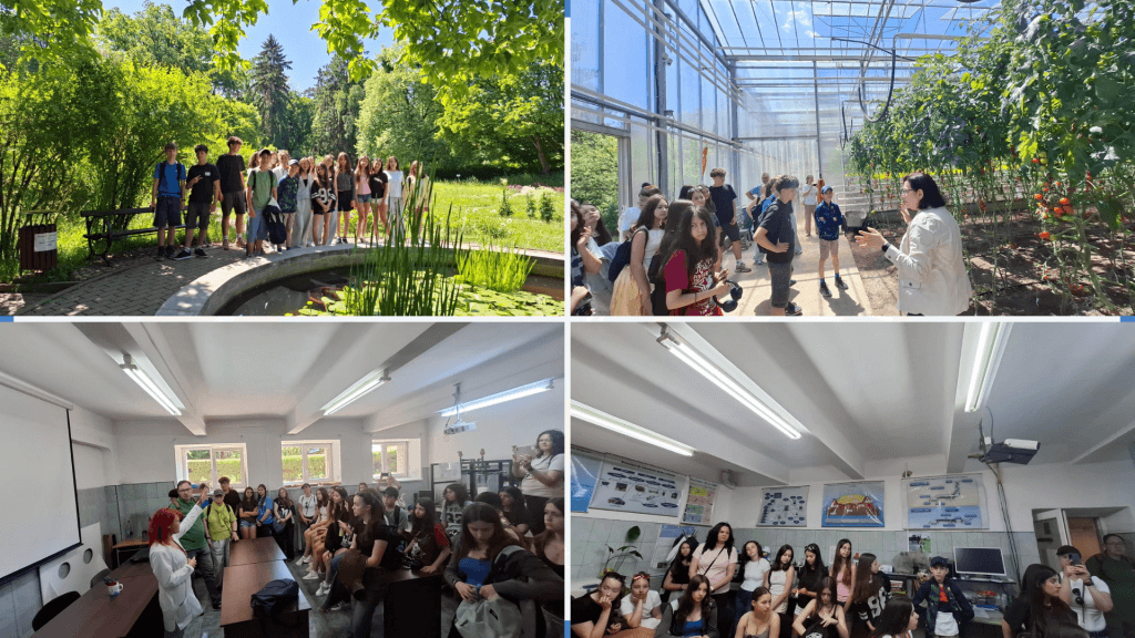 13-1024x576 Mobilitate Erasmus+ la Școala Gimnazială „Avram Iancu” Câmpia Turzii – o săptămână dedicată învățării, explorării și acțiunii pentru mediu